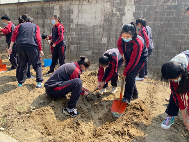 20210514381420.jpg 春耕劳作01.jpg