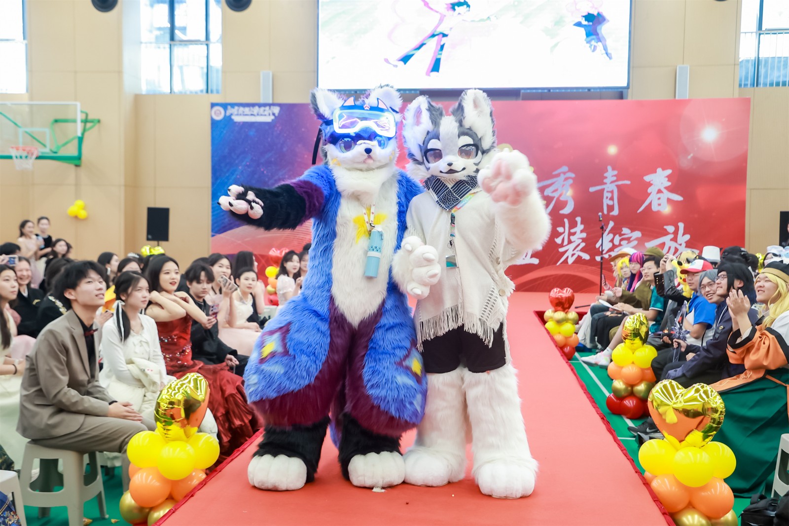 20250113345088.jpg 2Y6A1052.jpg