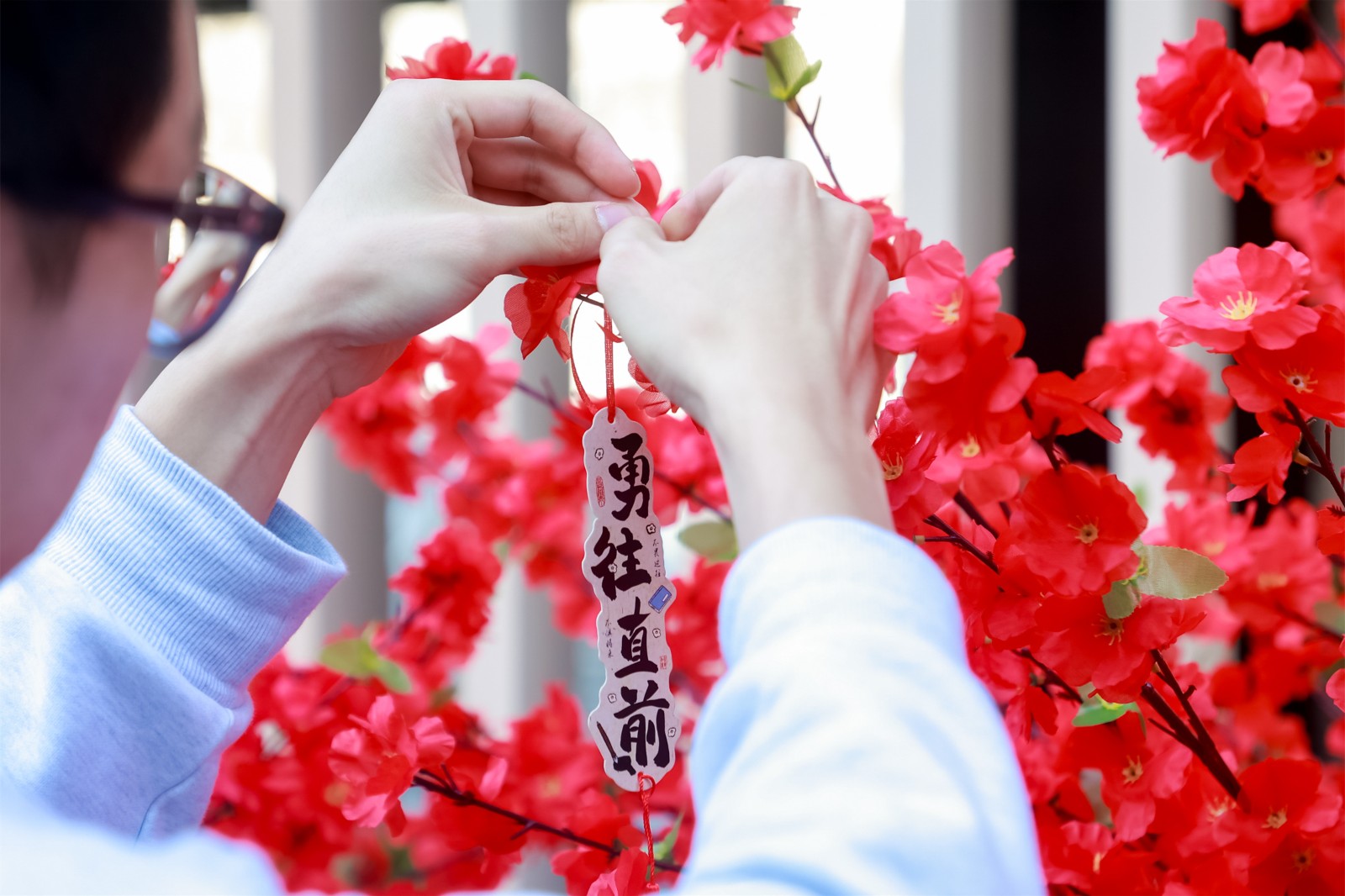 20250113655180.jpg 2Y6A0419.jpg